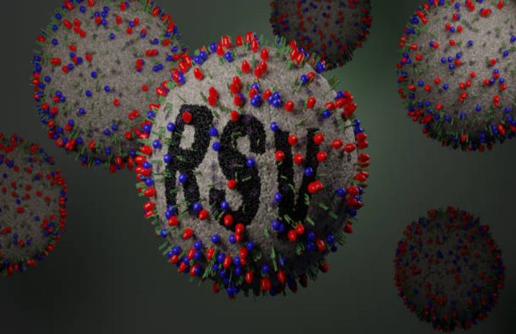 Rappresentazione grafica del virus RSV